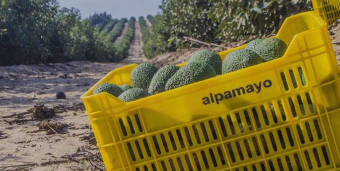 El corazón de nuestra historia: ¿Quiénes somos hoy?
